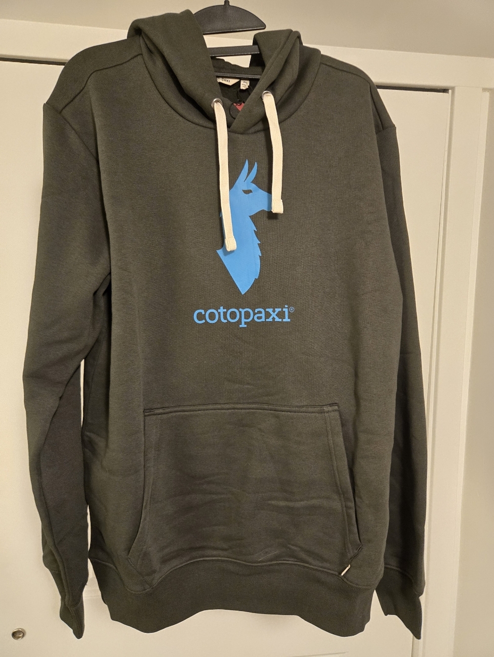 Cotopaxi Men's Dark Olive Green Logo Hoodie